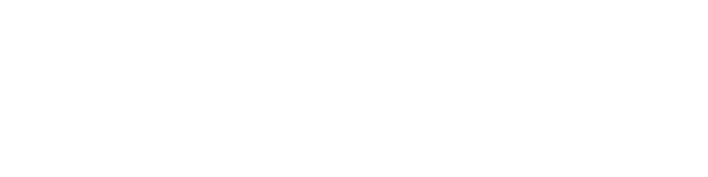 RavynPlus